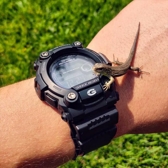 Casio GW-7900B-1ER