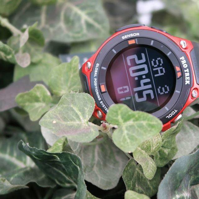 Casio WSD-F20-RGER