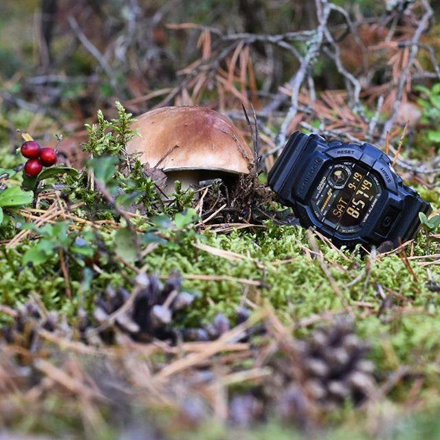 Casio GD-350-1BER