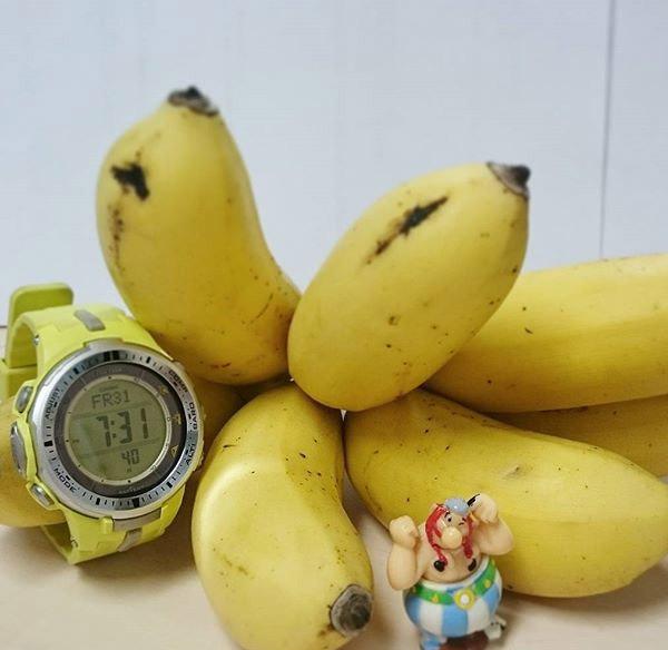 Casio PRW-3000-9BER