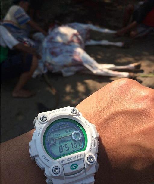 Casio GR-7900EW-7ER