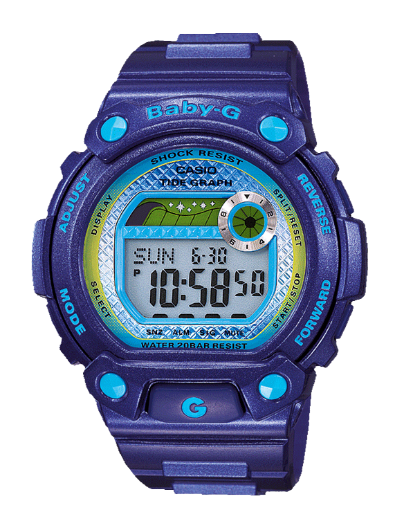 Casio BLX-100-2ER