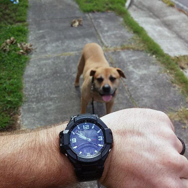 Casio GA-1000FC-1AER