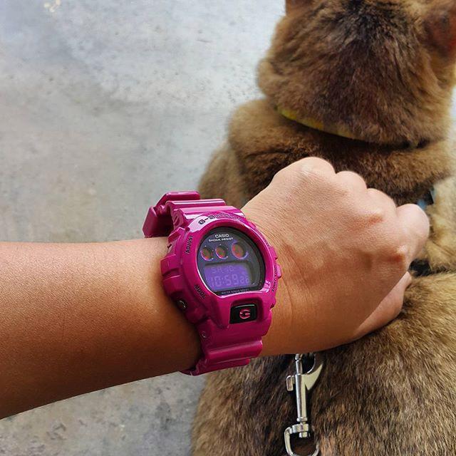 Casio DW-6900PL-4ER