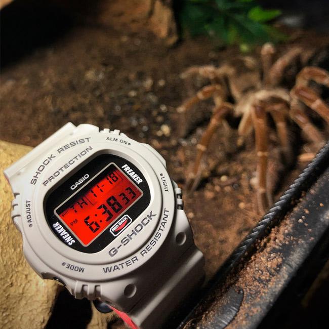Casio DW-5700SF-1ER
