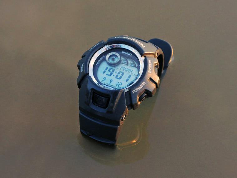 Casio G-2900F-8VER