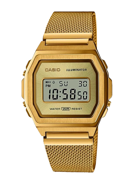 Casio A1000MG-9E
