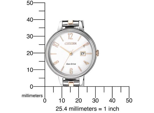 Citizen EW2446-81A