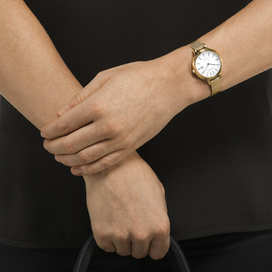 Citizen EW2447-89A