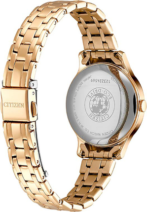 Citizen EM0893-87Y
