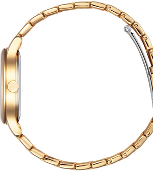 Citizen EM0893-87Y