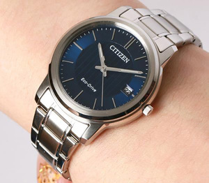 Citizen FE6011-81L