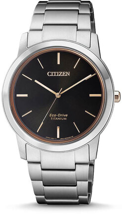 Citizen FE7024-84E