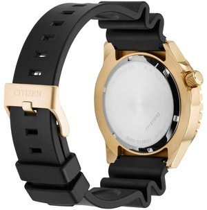 Citizen NH8383-17EE