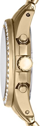 Fossil ES2683