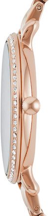 Fossil ES3546