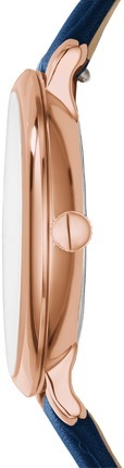 Fossil ES3843