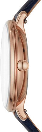 Fossil ES4673