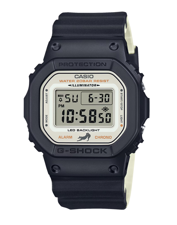 Casio DW-5600SHB-1E
