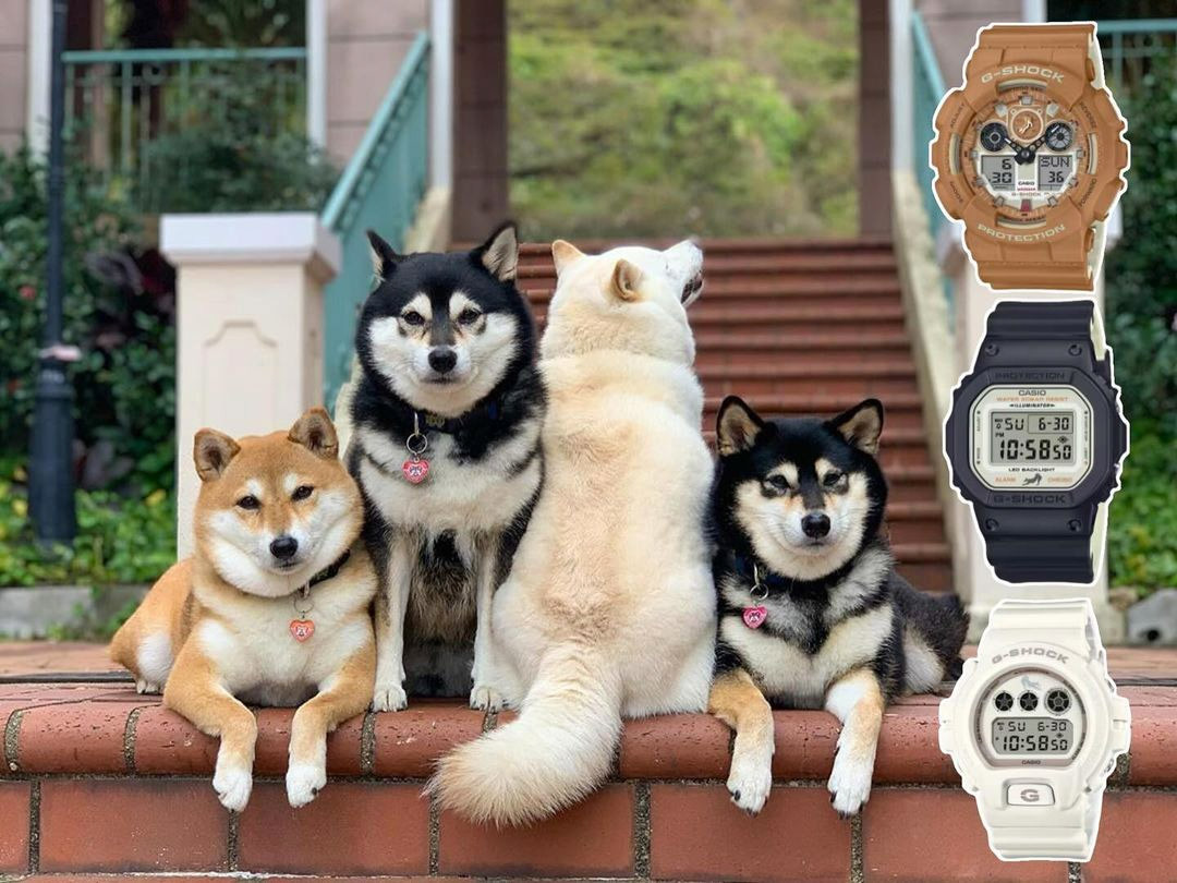 Casio DW-6900SHB-7E