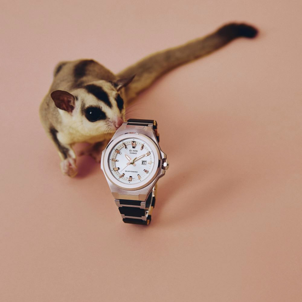 Casio MSG-S500CG-1A