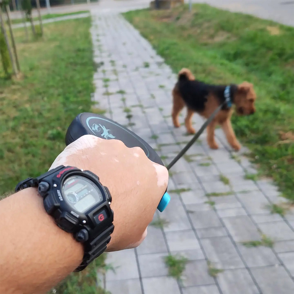 Casio DW-9052-1V
